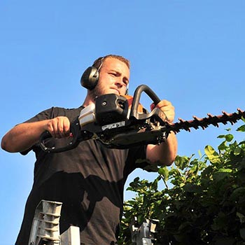 Taille de haie en région nantaise et près de Clisson